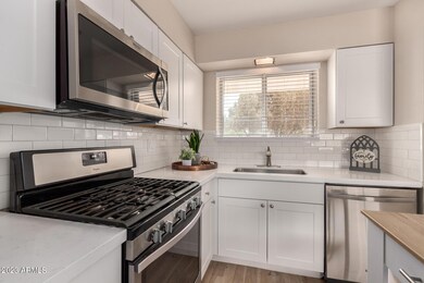 10111 W Deanita Ln, Sun City, AZ 85351 - photo 6