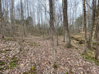 159 Joe Harris Ln, Cookeville, TN 38506 - photo 2