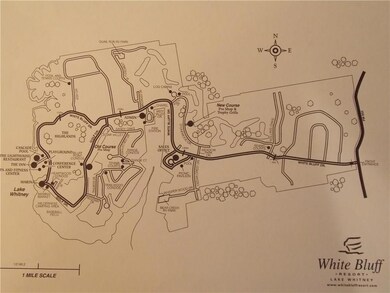 43138 Lantana Dr, Whitney, TX 76692 - photo 5