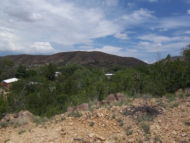 20 Paseo de San Antonio Rd, Placitas, NM 87043 - photo 6