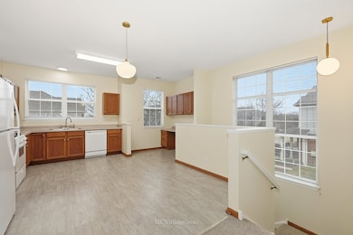 9017 Concord Ln unit L, Justice, IL 60458 - photo 4