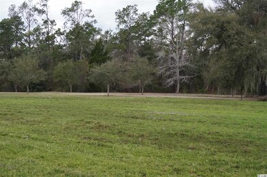 159 Acres Windsor Green Way unit Pig Pen Tract, Georgetown, SC 29440 - photo 7