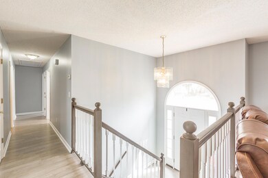 23 Primrose Lane HD -18
