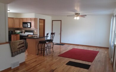 1450 W Charles Rd, Ionia, MI 48846 - photo 7