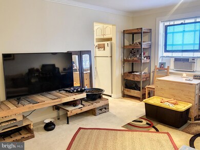 610 Madison St unit 202, Alexandria, VA 22314 - photo 5