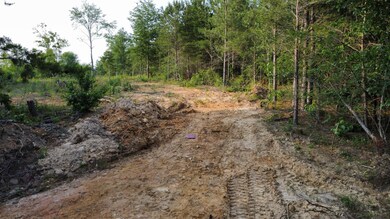 0 Mcentire Cir unit 1374076, Chatsworth, GA 30705 - photo 6