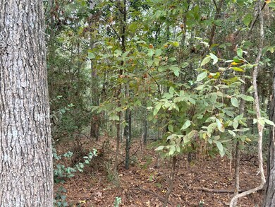 TBD Magnolia Duke Dr, Livingston, TX 77351 - photo 7