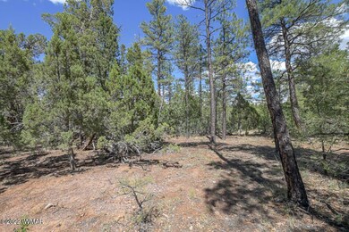 2011 S Sierra Park Trail, Show Low, AZ 85901 - photo 3