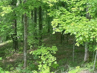 000 El Miner Dr unit 577, Mars Hill, NC 28754 - photo 4