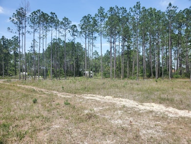 157 Pine Ln, Freeport, FL 32439 - photo 5