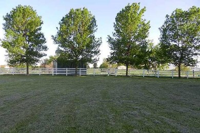 View. yard, trees and shed