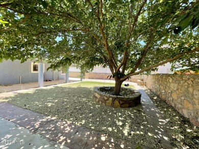 patio 2 tierra humeda