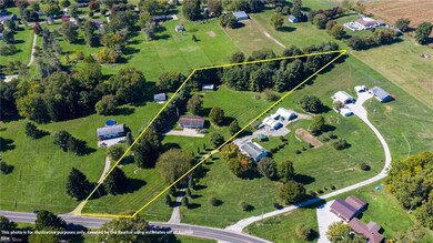 (LEFT) Property Line lies 8 feet to the left side of the base of pine trees. (BACK) All trees are on this parcel. (RIGHT) Property line: immature trees were recently planted on the property line by neighbor