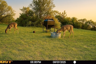 12014 C S Fm 600, Abilene, TX 79601 - photo 2