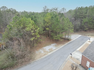 495 Scenic View Ln unit 15A, Birmingham, AL 35244 - photo 4