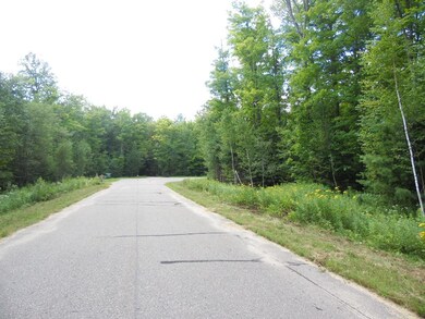 Lot 10 Eagle Waters Rd, Tomahawk, WI 54487 - photo 2