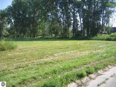 N/A South St, Au Gres, MI 48703 - photo 6