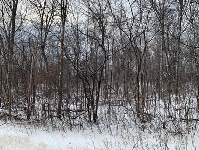Wooded on Thumb Lake Rd