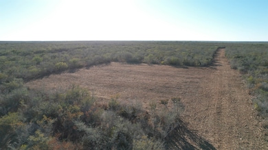 0 Fm 716 unit 20255320, Realtitos, TX 78376 - photo 6