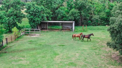 20787 Rosehill Church Rd, Tomball, TX 77377 - photo 6
