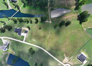 The Reserve County Road 912 unit Lot2, Cullman, AL 35055 - photo 3