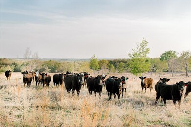 TBD 86 Latigo Way, Weatherford, TX 76088 - photo 3