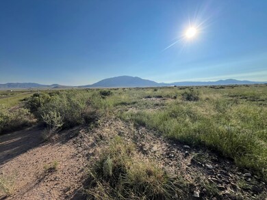 107 Gopher Gulch Loop, Carrizozo, NM 88301 - photo 7