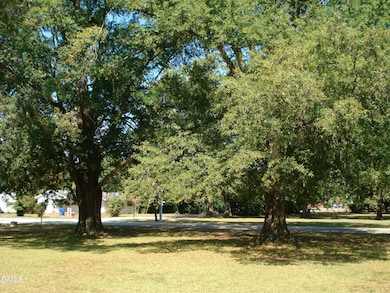 0 W Parrish St, Coats, NC 27521 - photo 6