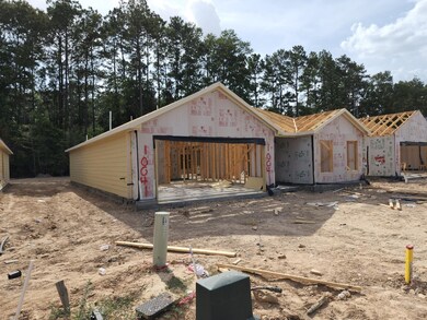 10041 Spring Creek Rd, Cleveland, TX 77327 - photo 3