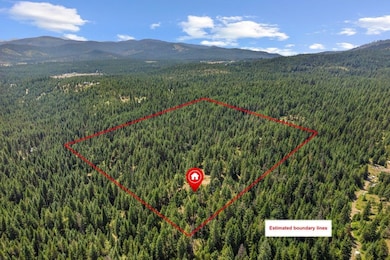 NKN Paul's Ln, Newport, WA 99156 - photo 2