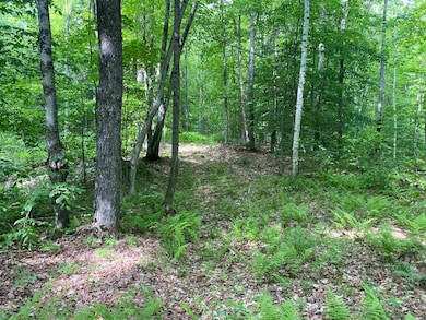 0 Simpson Brook Rd, Waterford, VT 05819 - photo 6