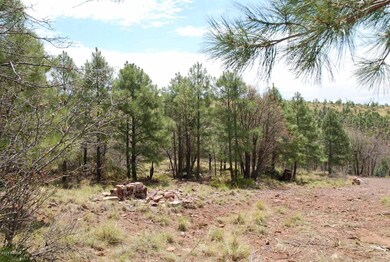Lot 39 E Antelope Trail unit 39, Payson, AZ 85541 - photo 6