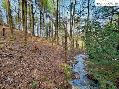TBD George Hayes Rd, Boone, NC 28607 - photo 4
