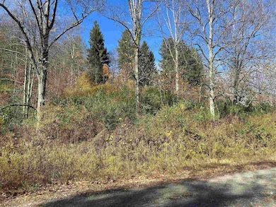 TBD Pyles Ave, Mannington, WV 26582 - photo 2