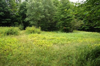 0 Rhoades Rd unit 11C 4872883, Alstead, NH 03602 - photo 2