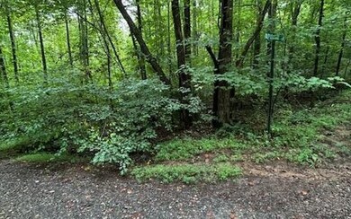 Additional View