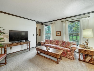 22211 Lofton Ave N, Scandia, MN 55073 - photo 5