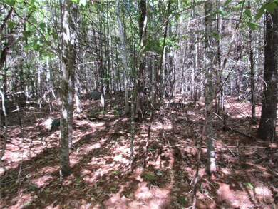 0 M16 L20 unit 1371774, Bowerbank, ME 04426 - photo 4