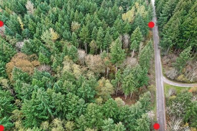 18343 Shenandoah Ln SE, Yelm, WA 98597 - photo 6