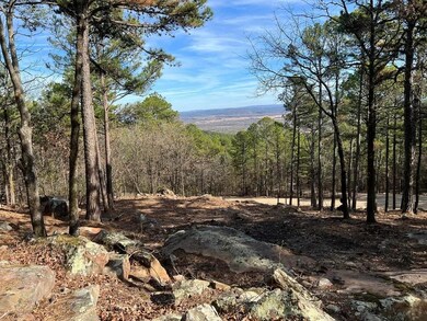 4 Timber Ridge, Tuskahoma, OK 74574 - photo 4