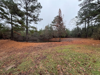 14707 Highway 159, Shongaloo, LA 71072 - photo 2