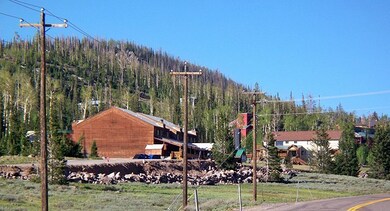 village