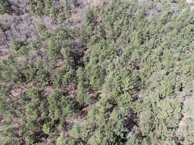 DJI_0509