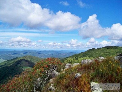 Lot 117 Point Lookout Ln, Independence, VA 24348 - photo 4