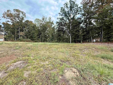 00 Hickory Ridge Rd unit 40, Oneonta, AL 35121 - photo 4