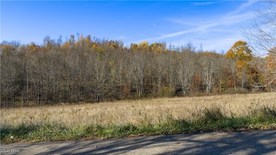 9204 Sandyville Rd NE, Mineral City, OH 44656 - photo 4