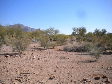 VIEW EAST (FROM BACK OF LOT)