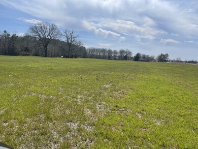 0 Woodbury Hwy unit RTC2369248, Manchester, TN 37355 - photo 3