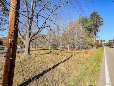 0 Olcott Rd N, Big Flats, NY 14814 - photo 2