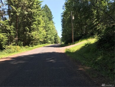 11507 Breaker Way, Anderson Island, WA 98303 - photo 4